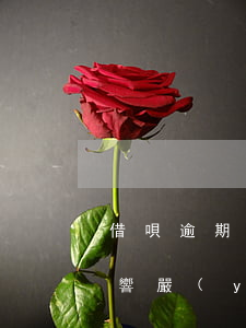 借唄逾期兩次會(huì)怎么樣？影響嚴(yán)重，需盡快解決！